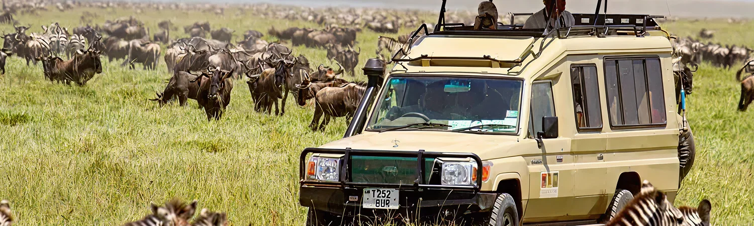 Activities-in-Lake-Manyara-National-Park-750x450 1.webp